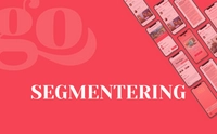 Segmentering