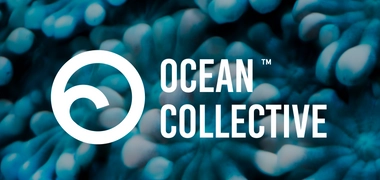 Ocean Collective