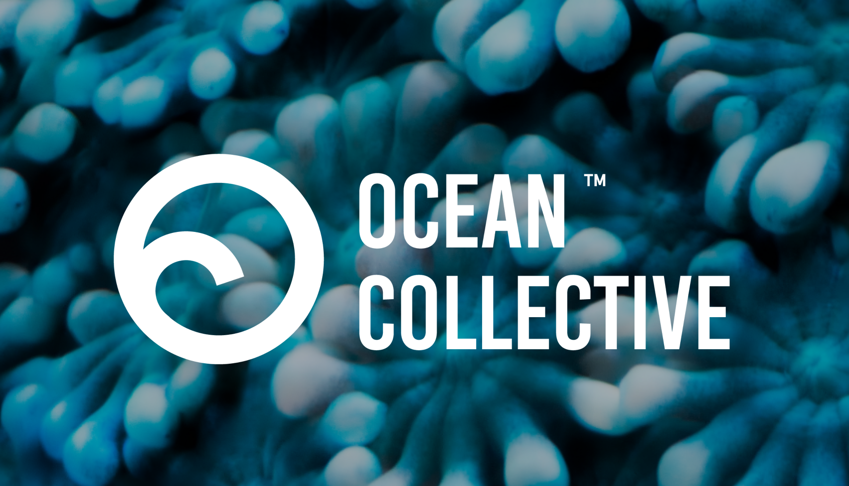 Ocean Collective