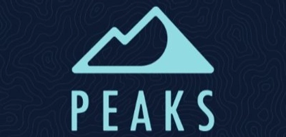 Peaks Digital Marketing