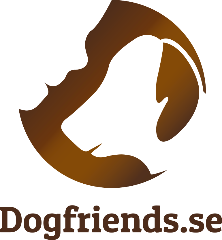 Smart Google Ads-strategi gav Dogfriends kraftig tillväxt