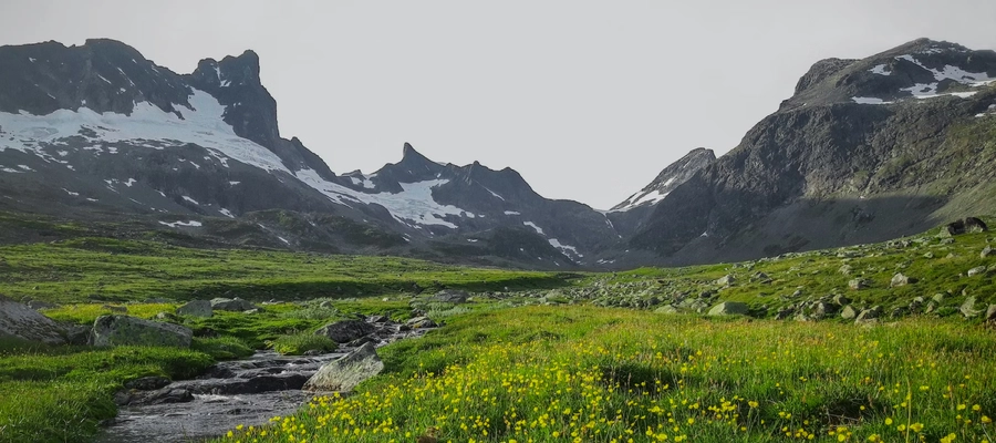 Gauldalsposten