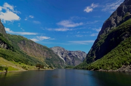 Vestnytt