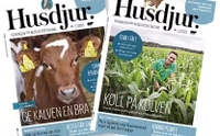 Print advertising in Husdjur