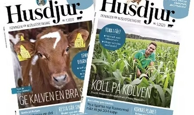 Print advertising in Husdjur
