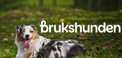 Brukshunden