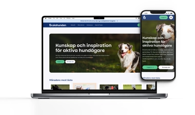 Display på Brukshunden.se
