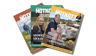 Printannonsering i Nötkött