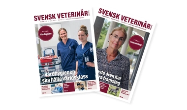 Printannonsering i Svensk Veterinärtidning
