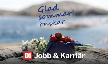 SOMMARERBJUDANDE - Dagens industri Jobb & Karriär