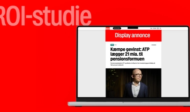 Display driver 20% mere salg på lang end på kort sigt