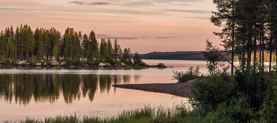 Piteå-Tidningen