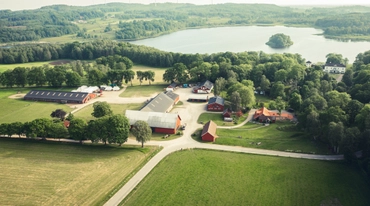 Öströö Fårfarm 