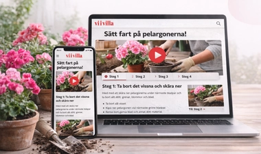 Videoguide + redaktionell guide