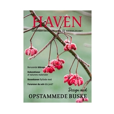 Haven, website og Nyhedsbrev