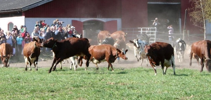 Land Lantbruk med Land Skogsbruk