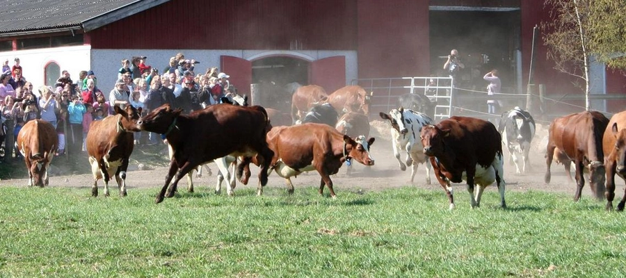 Land Lantbruk med Land Skogsbruk