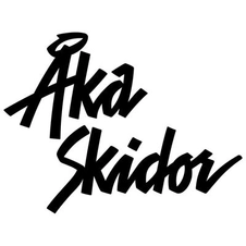 Åka Skidor