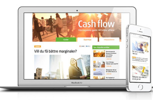 Native: Cashflow med Intrum