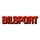 Bilsport