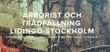 Lönsam sökoptimering åt trädfällare i Stockholm