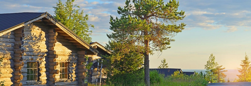Gofinland