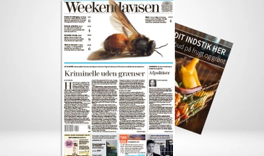 Indstik