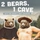 2 Bears, 1 Cave