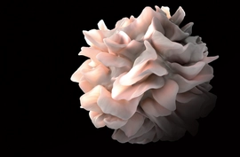 Nordic Life Science