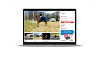 Desktop Advertising ehorses