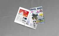 Print Nordisk Papper & Massa