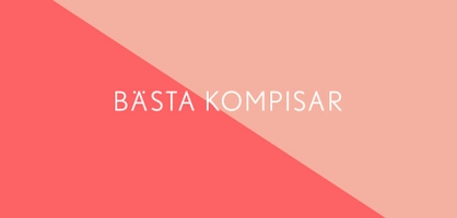 Bästa Kompisar