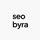 Seo byra