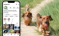 Nå ut till Skaffa Hunds instagramfölje