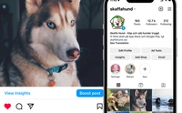 Nå ut till Skaffa Hunds instagramfölje