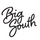 Big South